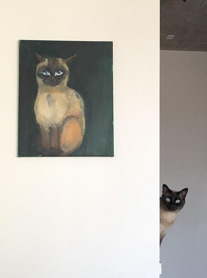 Кот с портрета