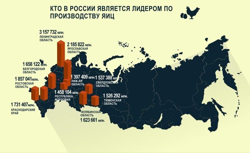 Кто в России является лидером по производству яиц?