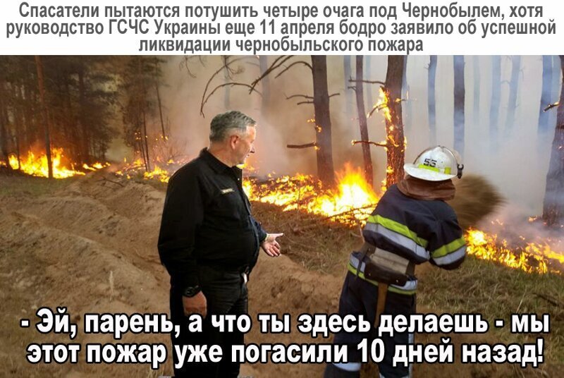Политические комментарии из инета