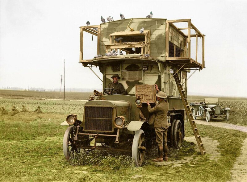 Лондонский автобус, переоборудованный в мобильный пункт голубиной связи во время Первой мировой войны, Бельгия, 1917 год
