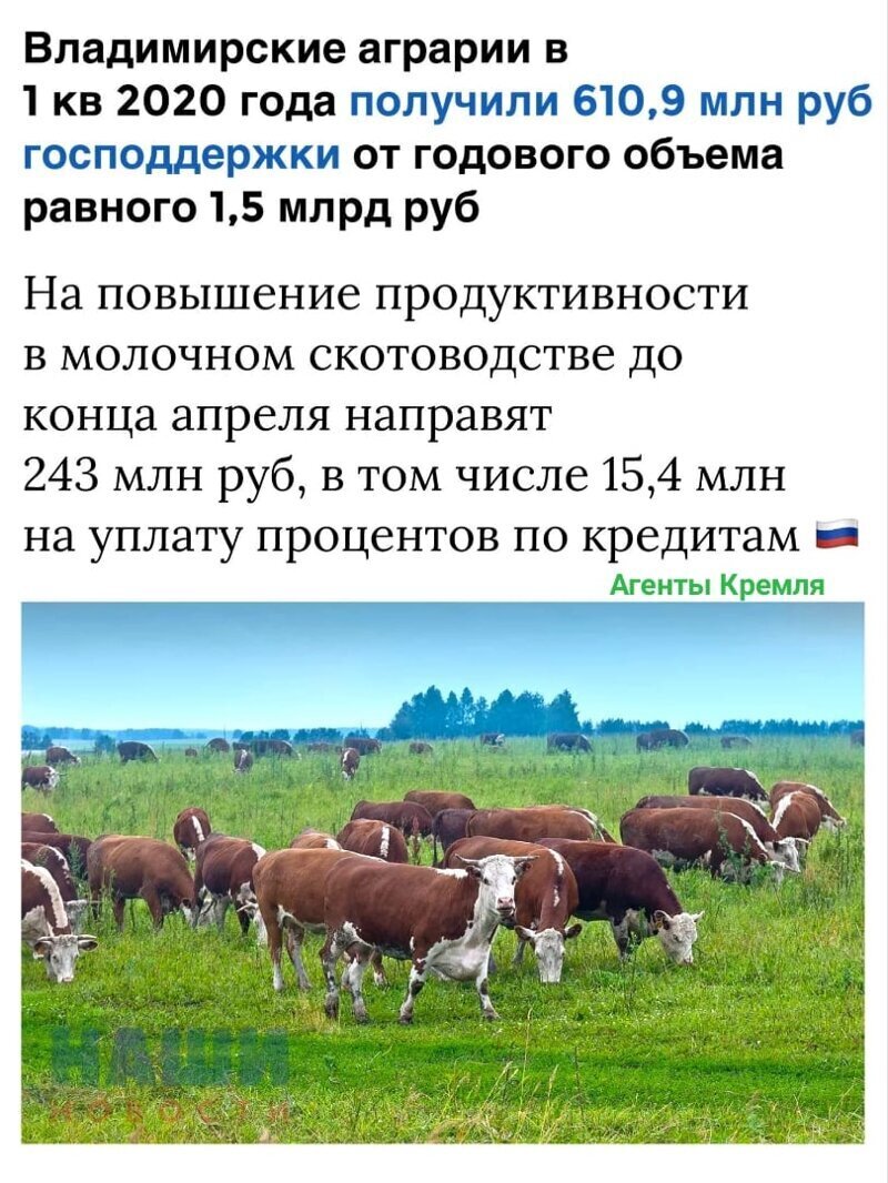 Политические комментарии из инета