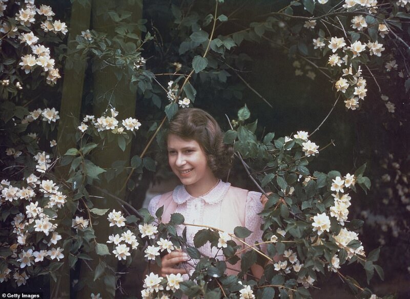 На фоне цветущего кустарника. Виндзорский замок, 1941 г.
