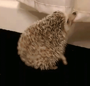 Гифки разные