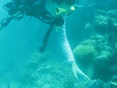 Гифки разные