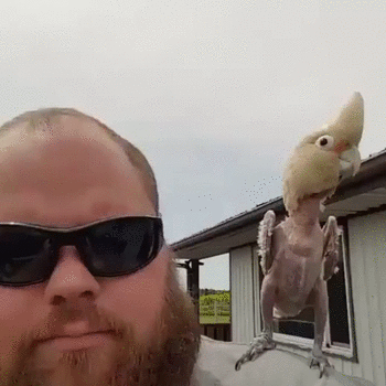 Гифки разные