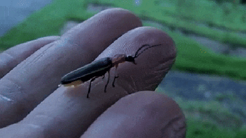 Гифки разные