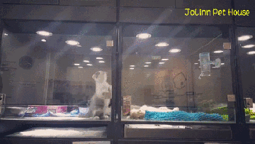 Гифки разные