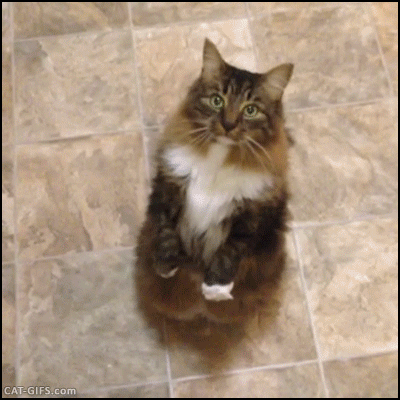 Гифки разные