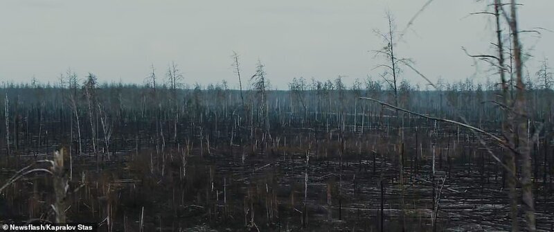 Апокалипсис в Чернобыле: пожар вокруг ядерного могильника