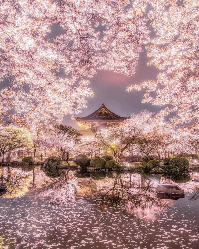Цветущая Япония