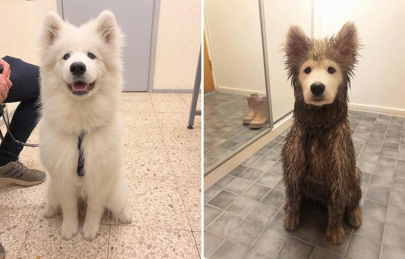 1. До и после игр в грязи