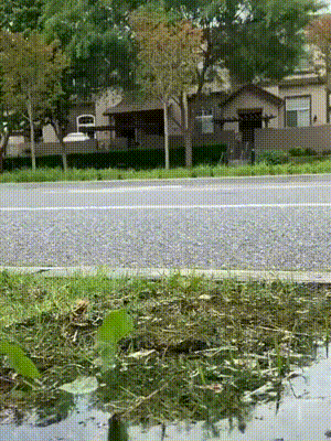 Просто лужа