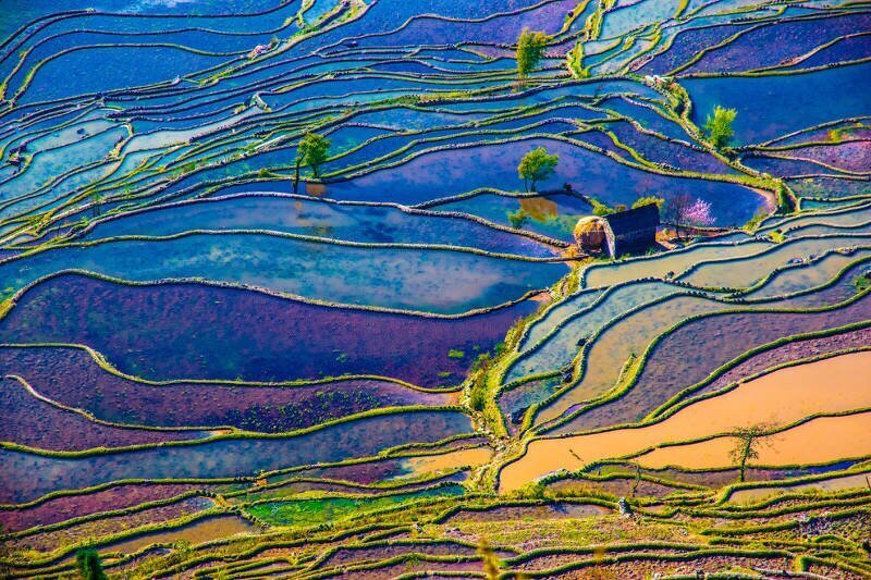 Рисовые террасы Юньнань (Китай)