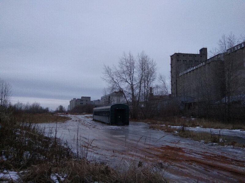 Баги нашего городка