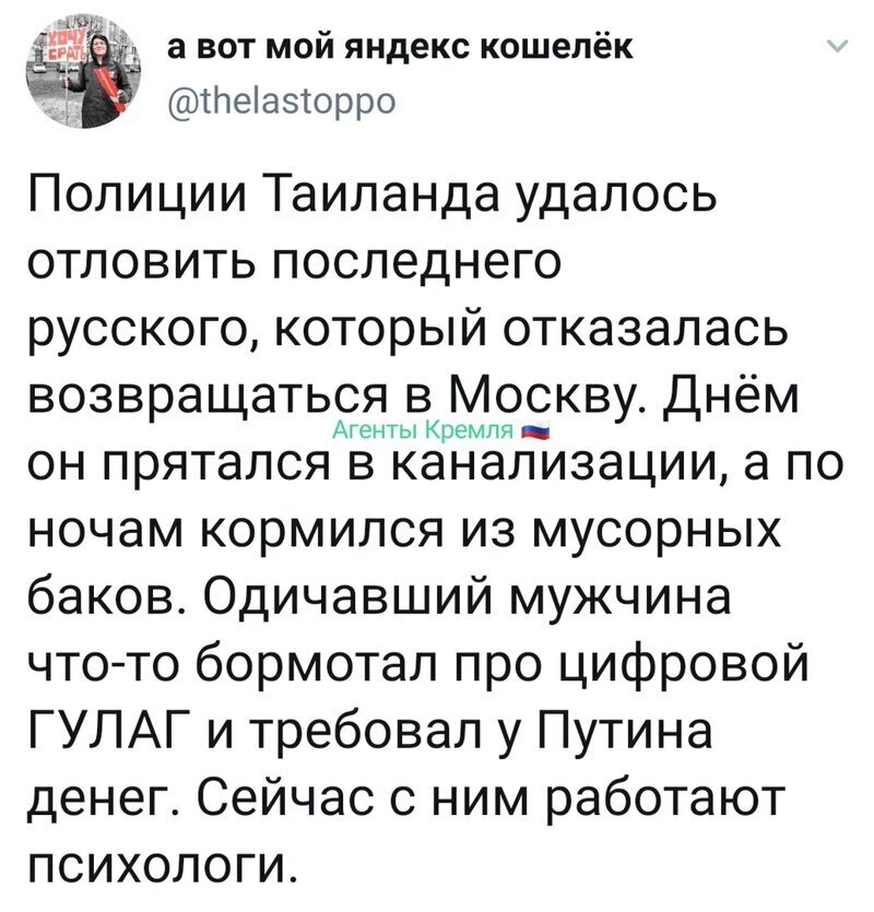 Политические комментарии из инета