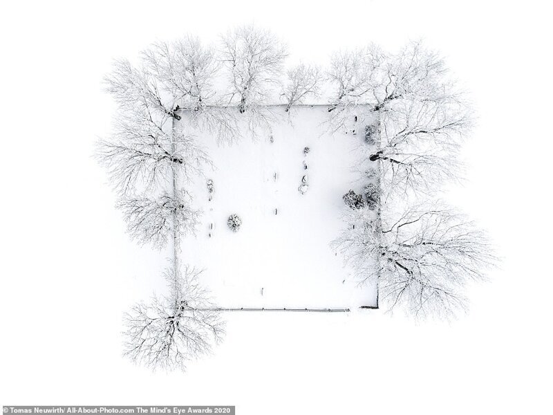 "Кладбище в снегу" - Томас Ньювирт, Чехия, специальный приз жюри