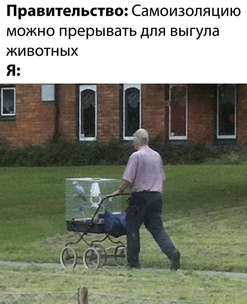 Смешные картинки