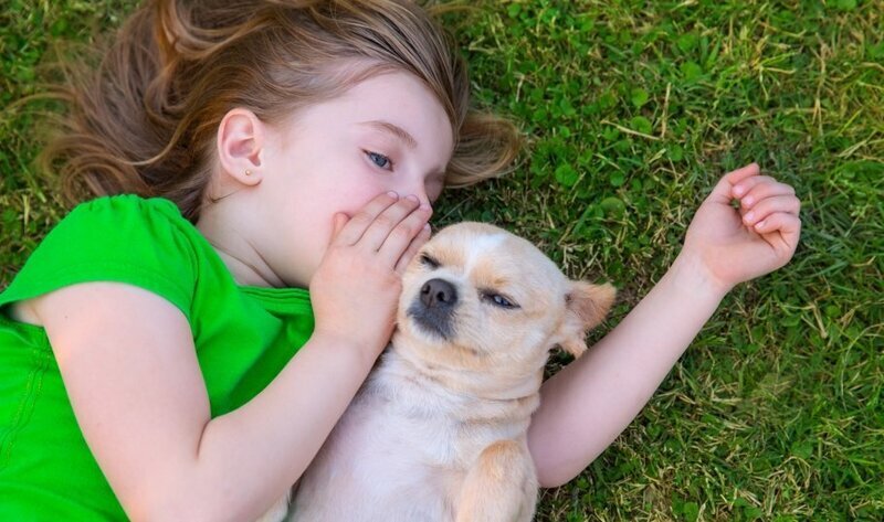 Собака – лучший друг ребенка: как уговорить родителей завести питомца