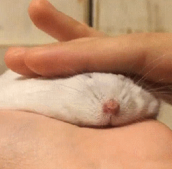 Гифки разные