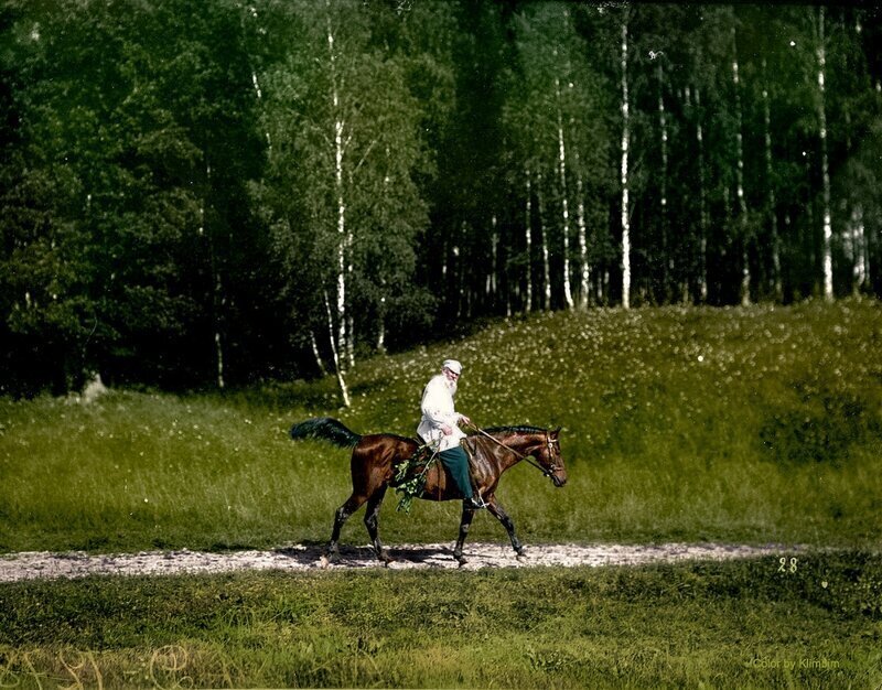 Лев Толстой на Демире. Ясная Поляна, 1908 год.