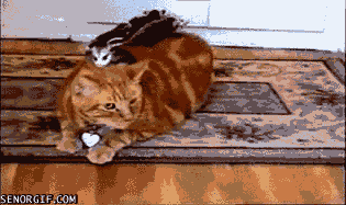 Гифки разные