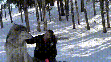 Гифки разные