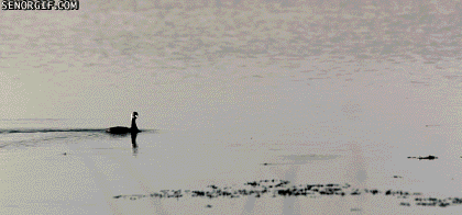 Гифки разные