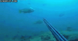 Гифки разные