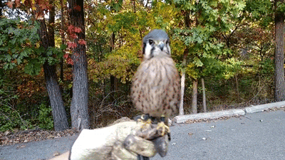 Гифки разные Гифки разные