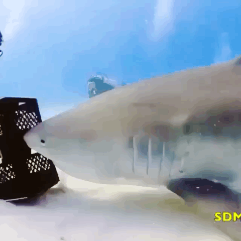 Гифки разные Гифки разные