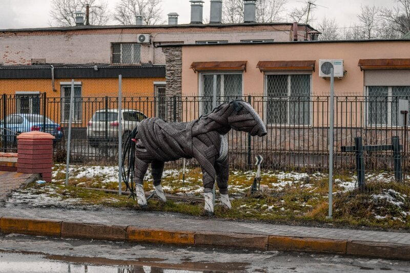 Суровый Раменский конь