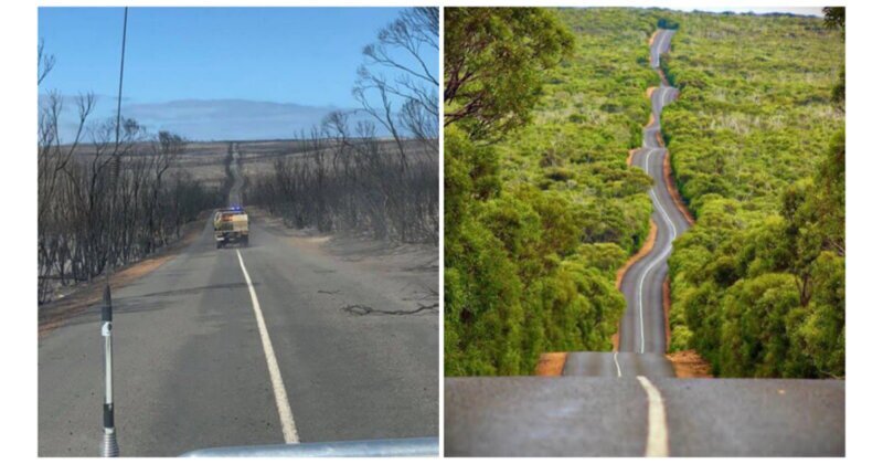 Дорога в Австралии после пожара, и какой она была раньше
