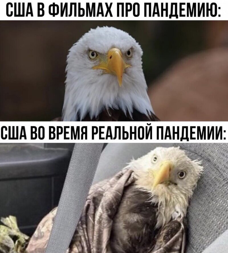 Смешные картинки