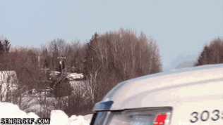 Гифки разные Гифки разные