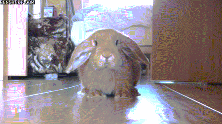 Гифки разные Гифки разные