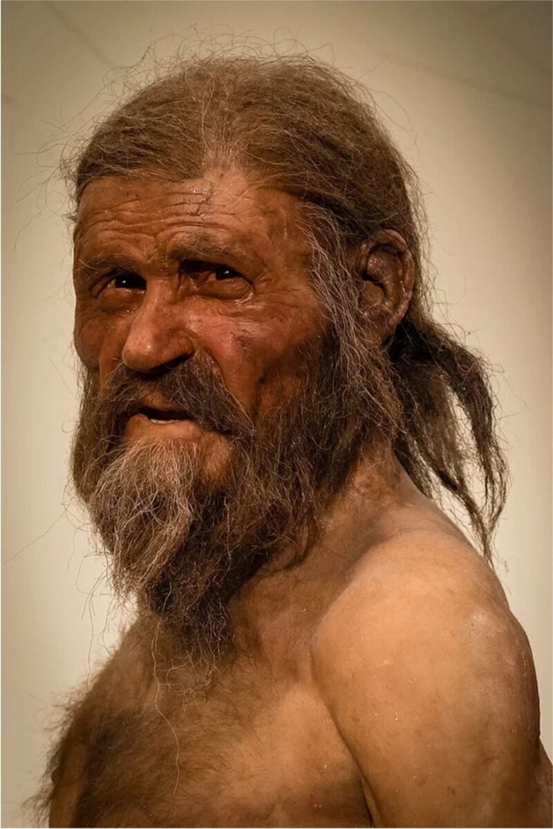 18. Этци — человек, чья ледяная мумия была обнаружена в Альпах. Жил в Европе, приблизительно, 5 400 лет назад.