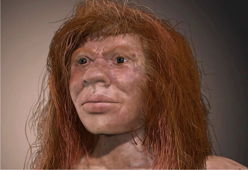 5. Девушка Денни — дочь неандерталки и денисовца, жила 90 000 лет назад. Останки найдены на территории России.