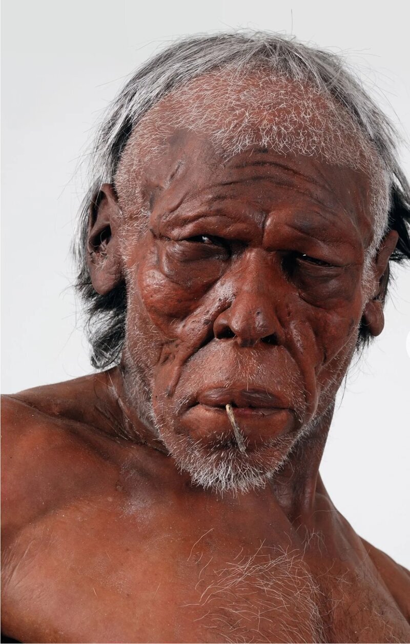 6. Homo Sapiens, найден в Европе, жил 50 000 лет назад.