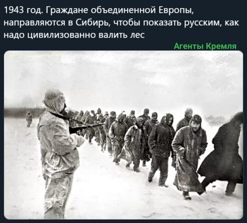 Политические комментарии из инета