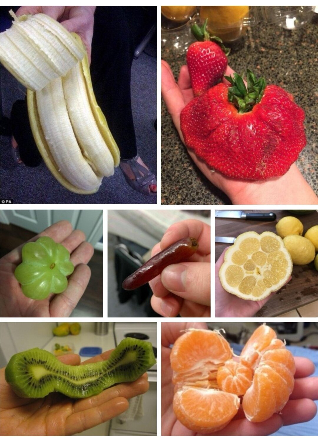 Фотоподборка от Димон за 05 мая 2020