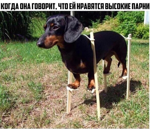 Смешные картинки и не очень