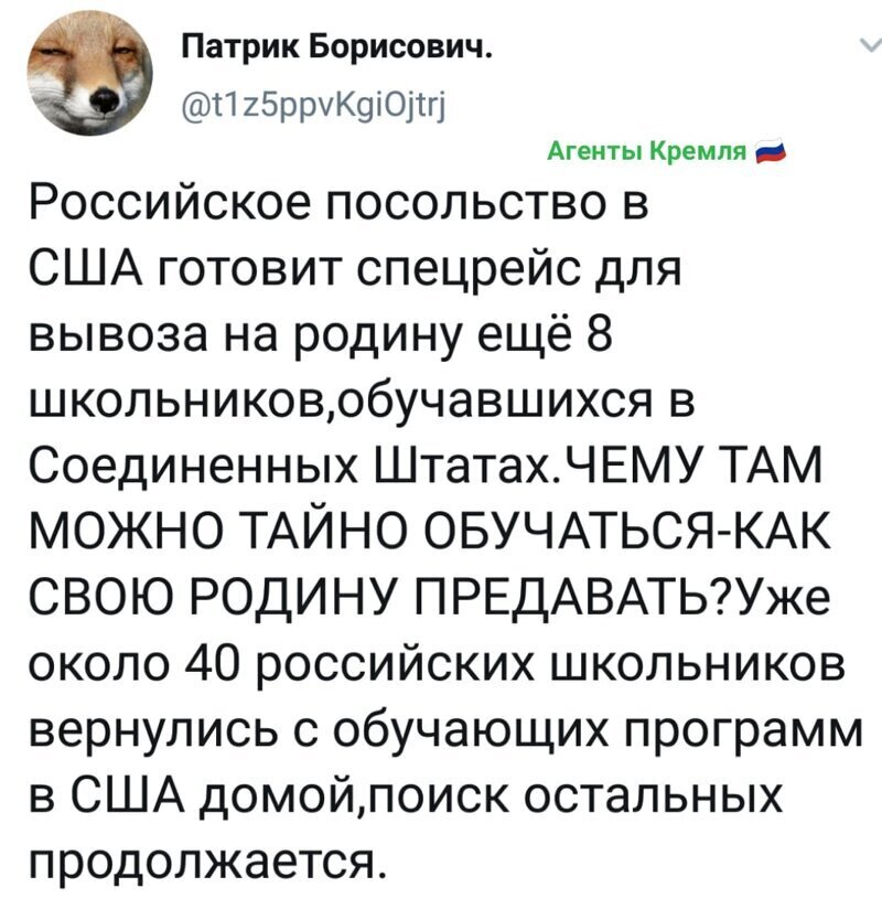 Политические комментарии из инета