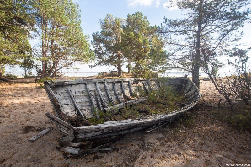 Белое море и кладбище карбасов