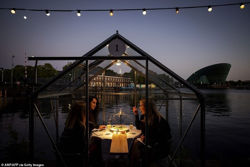 Голландский ресторан собирается посадить клиентов в теплицы
