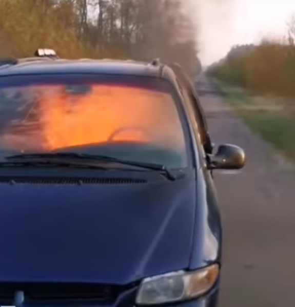 Заметая следы, банда лесорубов сожгла авто со спиленным дубом