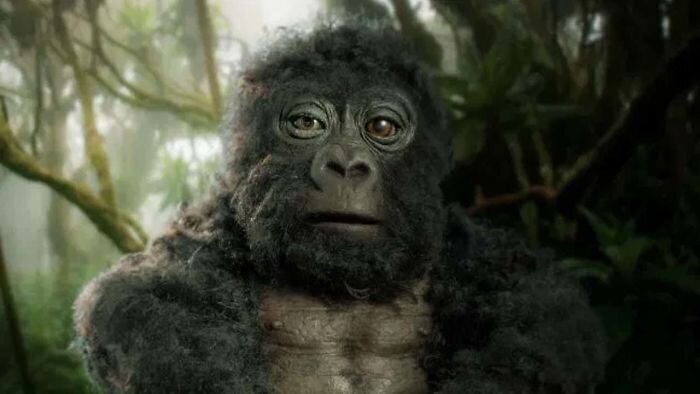 "Что за зверь?": в стаю горилл подселили невероятно реалистичного робота-шпиона