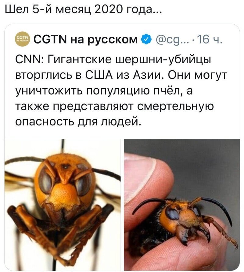 Политические комментарии из инета