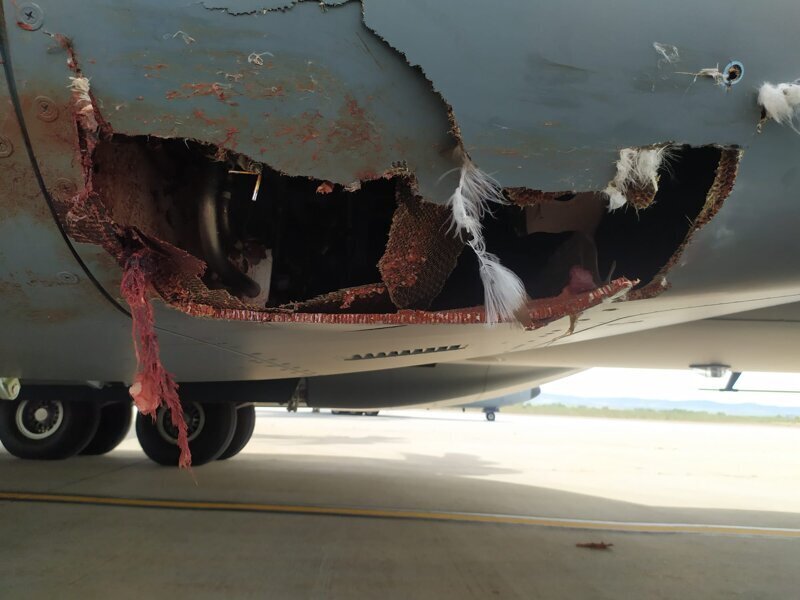 Испанские военные показали пробоину в самолете после столкновения с птицей