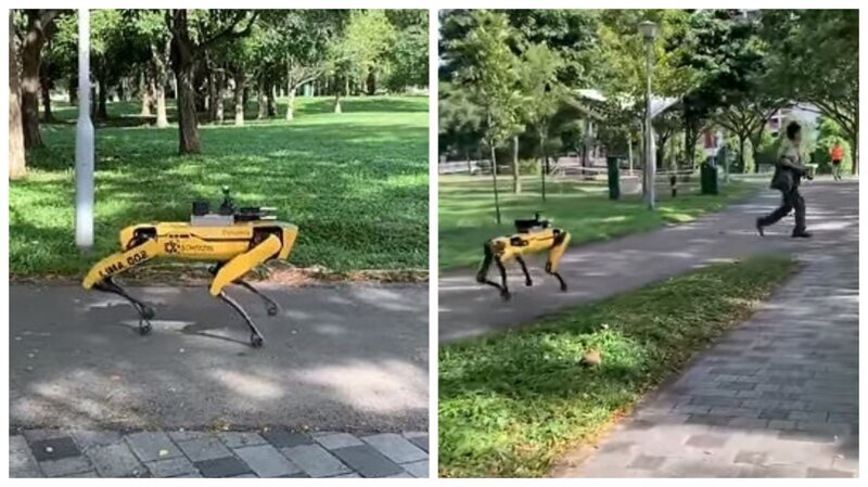 Робопёс контролирует людей в сингапурском парке