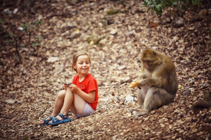 Встреча с дикой обезьяной в Марокко